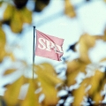 Die SPD-Fahne auf dem Dach des Ollenhauer-Hauses.
